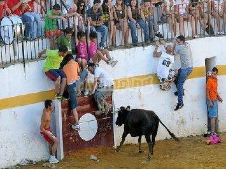 ¡Que no te pille! ¡Que no te pille!